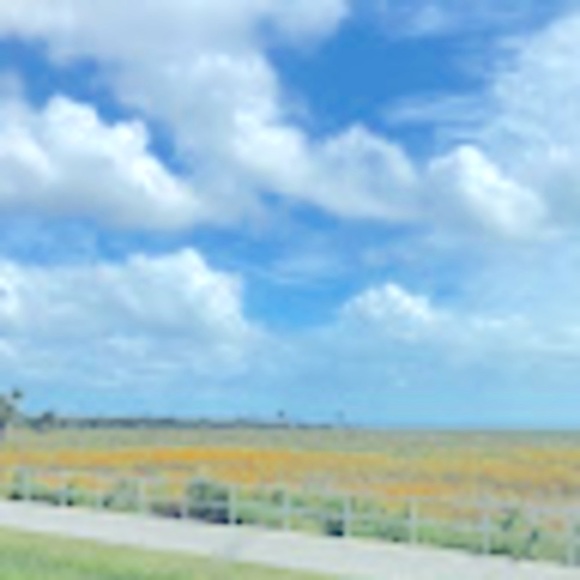 Meet your Posher, Jh - Picture 2 of 2